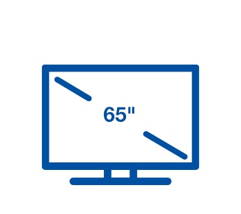 65" Outdoor TVs